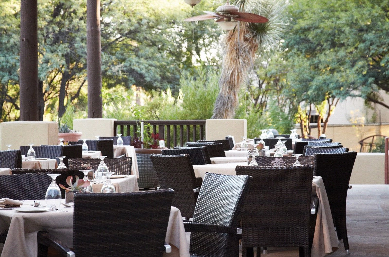 Miraval Resort & Spa (Adults Only) Catalina Exterior photo